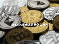 BRAIN币未来前景怎么样？