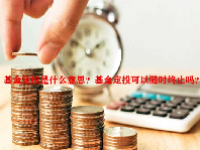 基金定投是什么意思？基金定投可以随时终止吗？