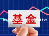 前海开源大海洋混合000690今日净值是多少？