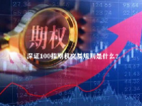 深证100指期权交易规则是什么？