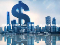 嘉实基金公司怎么样？嘉实基金是公募还是私募？