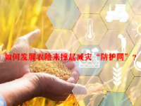 如何发展农险来撑起减灾“防护网”？