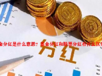 基金分红是什么意思？基金分红和股票分红有什么区别？