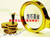 新手怎么购买货币基金？