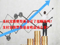 支付宝股票型基金买了能赚钱吗？支付宝股票型基金收益这么看？