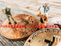 CVTX币发行总量是多少？CVTX币最高的时候多少钱？