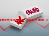纯保障型保险有哪些？纯保障型保险好不好？