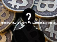 中本聪币现在值多少钱一个？中本聪币前景如何？