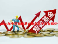 2023年中国指数基金排名前十名有哪些？