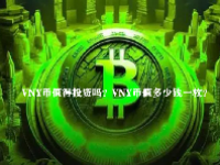 VNY币值得投资吗？VNY币值多少钱一枚？