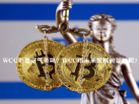 WCC币是空气币吗？WCC币未来发展前景如何？