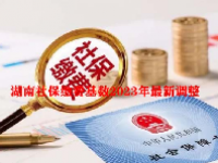 湖南社保缴费基数2023年最新调整