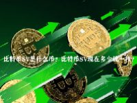 比特币SV是什么币？比特币SV现在多少钱一枚？