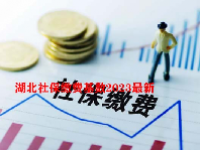 湖北社保缴费基数2023最新
