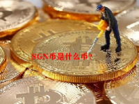 SGN币是什么币？