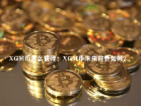 XGM币怎么获得？XGM币未来前景如何？