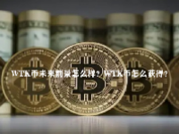 WTK币未来前景怎么样？WTK币怎么获得？