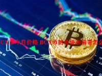BCX币今日价格 BCX币的价值和前景怎么样？