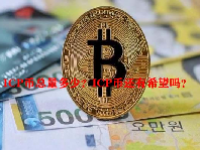 ICP币总量多少？ICP币还有希望吗？