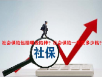 社会保险包括哪些险种？社会保险一年交多少钱？