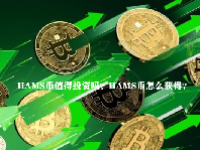 HAMS币值得投资吗？HAMS币怎么获得？