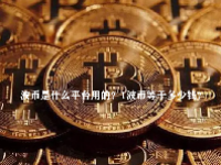 波币是什么平台用的？1波币等于多少钱？