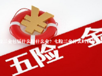 七险三金包括什么险什么金？七险三金什么时候开始的？