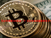艾达币涨到100美金一个 艾达币未来能涨到多少？
