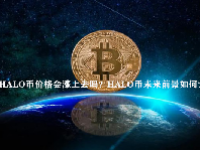 HALO币价格会涨上去吗？HALO币未来前景如何？