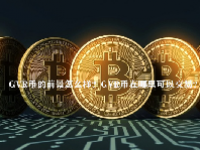 GVR币的前景怎么样？GVR币在哪里可以交易？