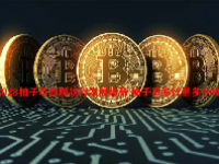 2023柚子币的现状与发展趋势 柚子币发行量多少枚？