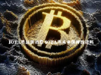 IOTA币最新消息 IOTA币未来值得投资吗