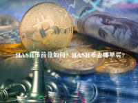 HASH币前景如何？HASH币去哪里买？