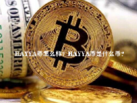 HAYYA币怎么样？HAYYA币是什么币？