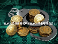 HAUS币值得投资吗？HAUS币去哪里交易？