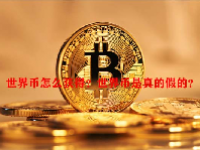 世界币怎么获得？世界币是真的假的？