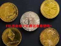 FIL币价格 FIL币还有希望吗？
