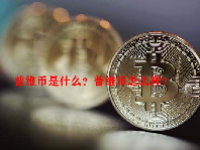 普维币是什么？普维币怎么样？
