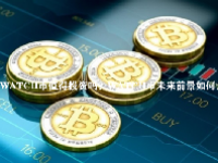 WATCH币值得投资吗？WATCH币未来前景如何？