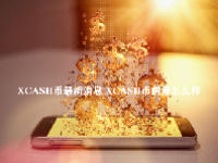 XCASH币最新消息 XCASH币前景怎么样