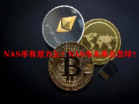 NAS币有潜力么？NAS币未来会怎样？