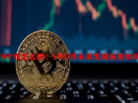 SWP币怎么样？SWP币未来发展前景如何？