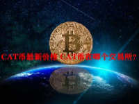 CAT币最新价格 CAT币在哪个交易所？