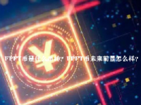 FPFT币是什么币种？FPFT币未来前景怎么样？