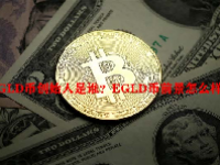 EGLD币创始人是谁？EGLD币前景怎么样？