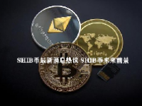 SHIB币最新消息热议 SHIB币未来前景