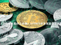 STEMX币是什么币种？STEMX币未来前景怎么样？