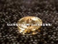 SAM币是什么币种？SAM币前景如何？