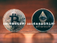 BHO币值得投资吗？BHO币未来前景怎么样？