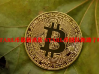 STARL币最新消息 STARL币团队跑路了吗？